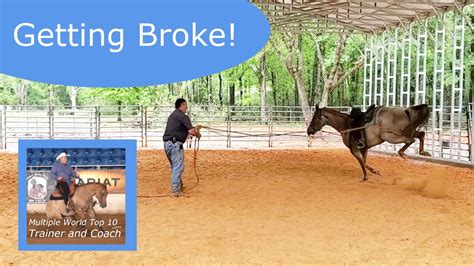 Buy Broken Horses .